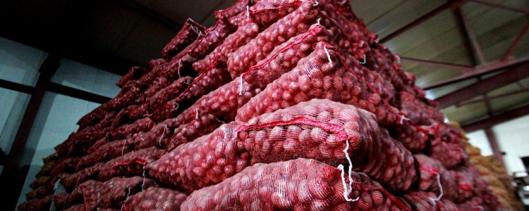 Onion Packing